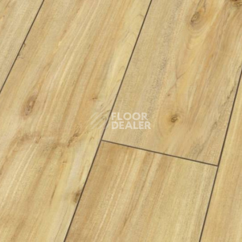 Ламинат Falquon Blue Line Wood 8mm D3718 WILD MAPLE фото 1 | FLOORDEALER